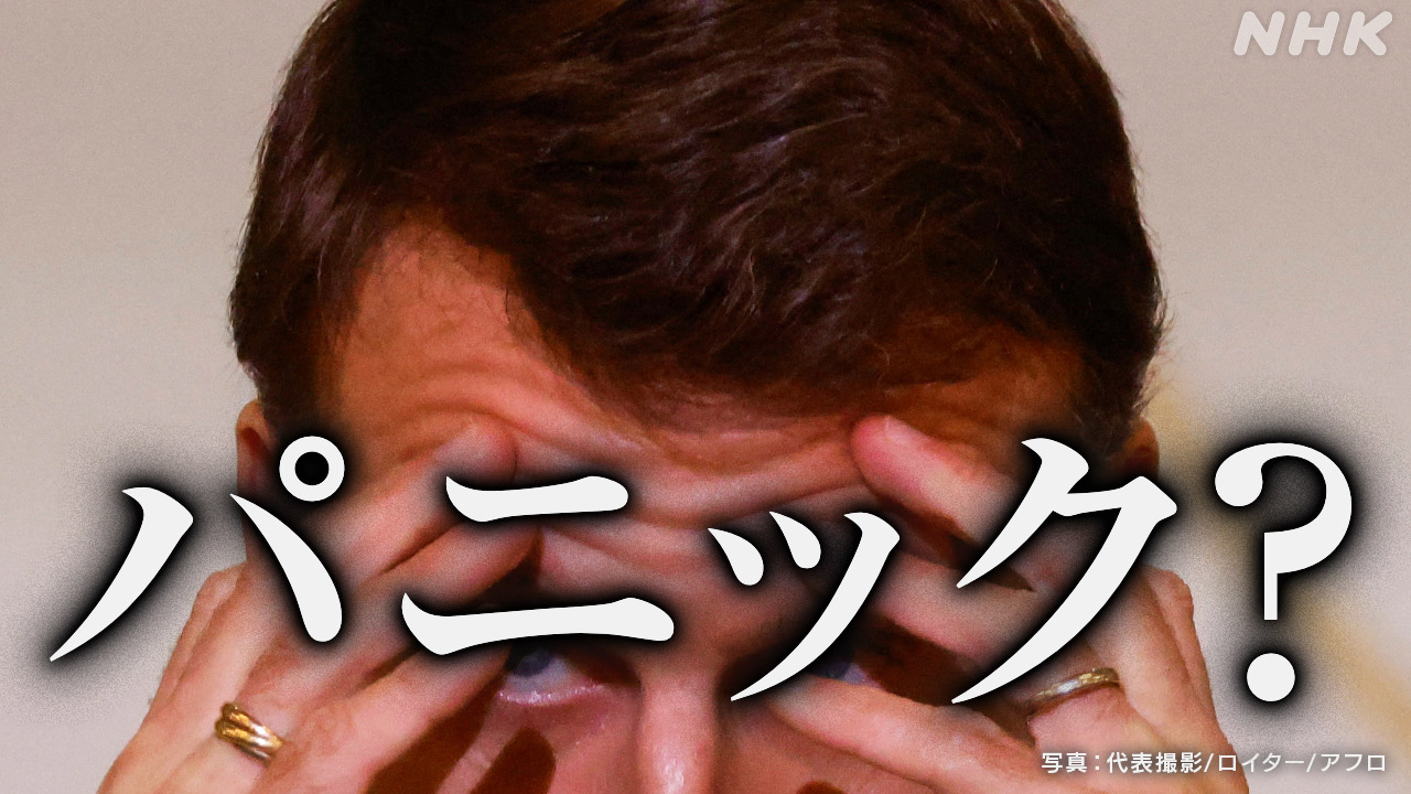 “生え際をチェックしてるだけ” 「フランス流」の偽情報対策